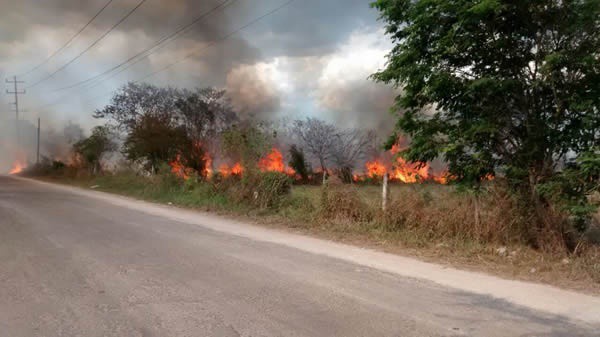 Se incendia invernadero de la Fundación APA, en Tizimín Se incendia invernadero de la Fundación APA, en Tizimín