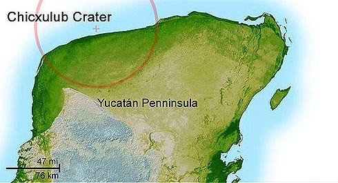 "Gringos excavaran frente a costas yucatecas "Gringos excavaran frente a costas yucatecas
