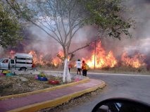 De febrero a abril se han consumido más de 3 mil hectáreas por el fuego De febrero a abril se han consumido más de 3 mil hectáreas por el fuego
