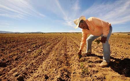 Los hombres del campo le hacen frente a la sequía Los hombres del campo le hacen frente a la sequía