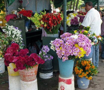 Florerias afirman que el 10 de mayo por caer en domingo afectará en sus ventas Florerias afirman que el 10 de mayo por caer en domingo afectará en sus ventas