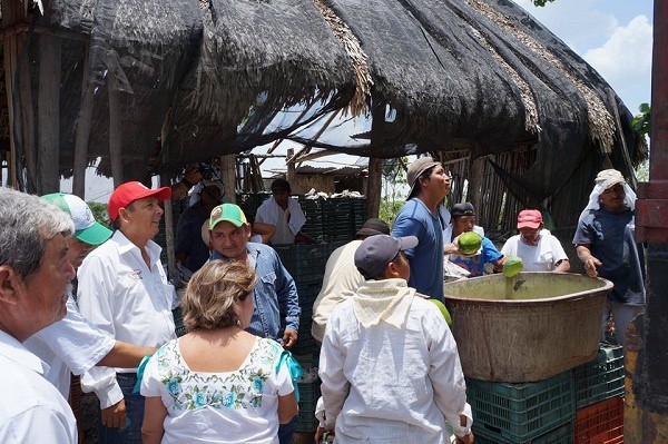 La agricultura es el futuro de Tizimín: Jorge Vales La agricultura es el futuro de Tizimín: Jorge Vales