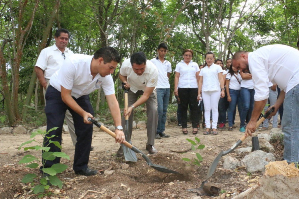 Siembran 300 árboles en el parque ecológico metropolitano del sur Siembran 300 árboles en el parque ecológico metropolitano del sur