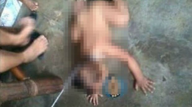 Publica en facebook imágenes de su bebe como si fuera un perro Publica en facebook imágenes de su bebe como si fuera un perro