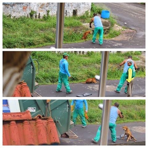 Publican en facebook, imágenes en las que un recolector de basura mata un perro Publican en facebook, imágenes en las que un recolector de basura mata un perro