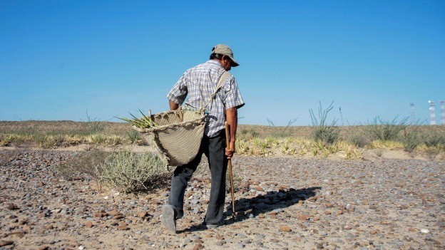 Ejidatarios de Homún se quejan del despojo de 60 hectareas Ejidatarios de Homún se quejan del despojo de 60 hectareas