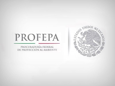 PROFEPA decomisa 19 animales de una UMA en Buctzotz PROFEPA decomisa 19 animales de una UMA en Buctzotz
