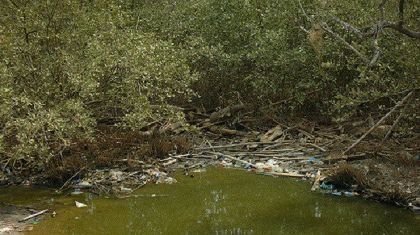 Preocupación por basura en Río lagartos Preocupación por basura en Río lagartos