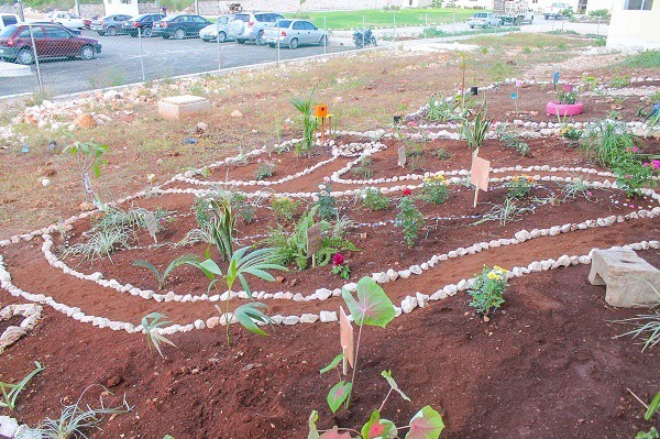 Elaboran jardines en Valladolid por Día del Medio Ambiente Elaboran jardines en Valladolid por Día del Medio Ambiente