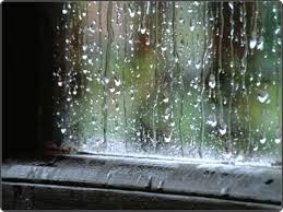 Pierden todo por culpa de la lluvia Pierden todo por culpa de la lluvia