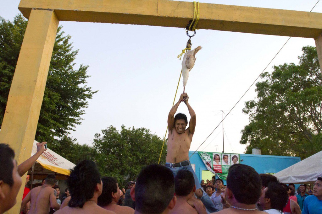 Emiten recomendaciones al presidente municipal de Izamal por sacrificios de animales domésticos en rituales Emiten recomendaciones al presidente municipal de Izamal por sacrificios de animales domésticos en rituales
