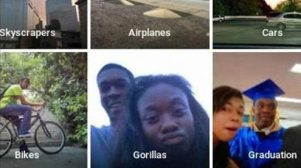 Google se disculpa con una pareja después de confundirlos con gorilas Google se disculpa con una pareja después de confundirlos con gorilas