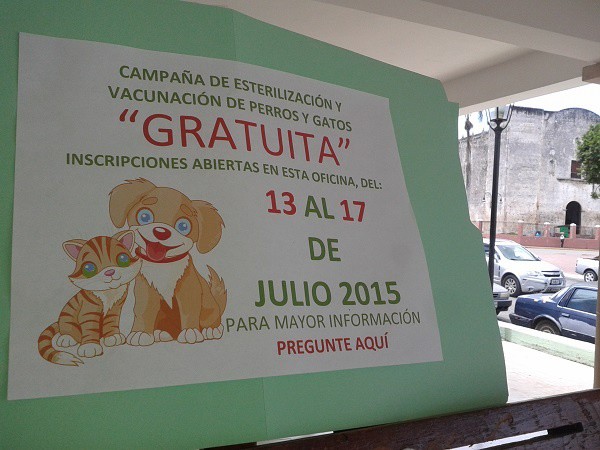 Realizarán campaña de esterilización canina y felina en Tizimín Realizarán campaña de esterilización canina y felina en Tizimín