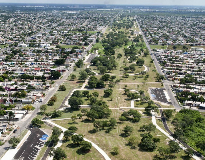 Plantarán más de 9 mil árboles en el Paseo Verde Plantarán más de 9 mil árboles en el Paseo Verde