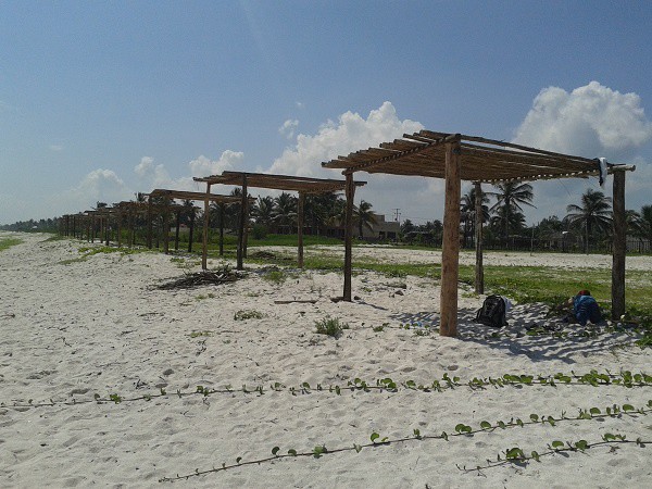 El Cuyo, un lugar paradisíaco para visitar estas vacaciones El Cuyo, un lugar paradisíaco para visitar estas vacaciones