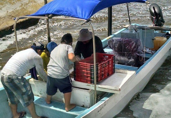 Pescadores de El Cuyo, afectados por marea roja Pescadores de El Cuyo, afectados por marea roja