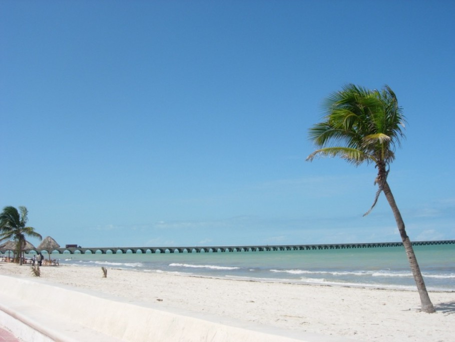 Costa yucateca sin marea roja Costa yucateca sin marea roja