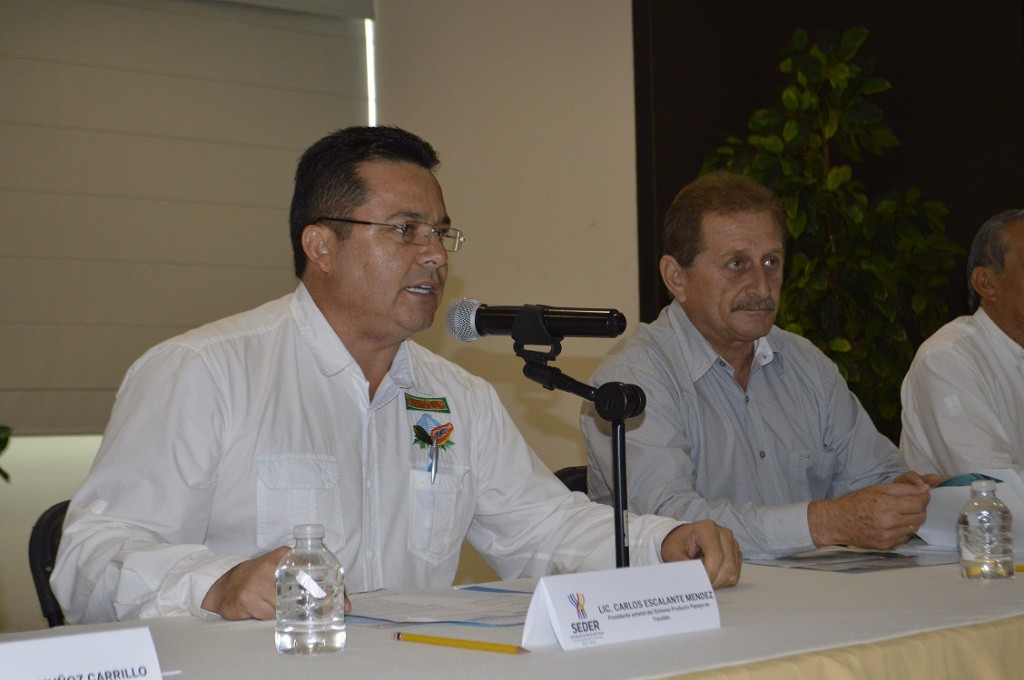 Reunión nacional de papayeros en Yucatán Reunión nacional de papayeros en Yucatán