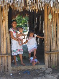 Sociedad meridana discriminan a los mayas. Sociedad meridana discriminan a los mayas.
