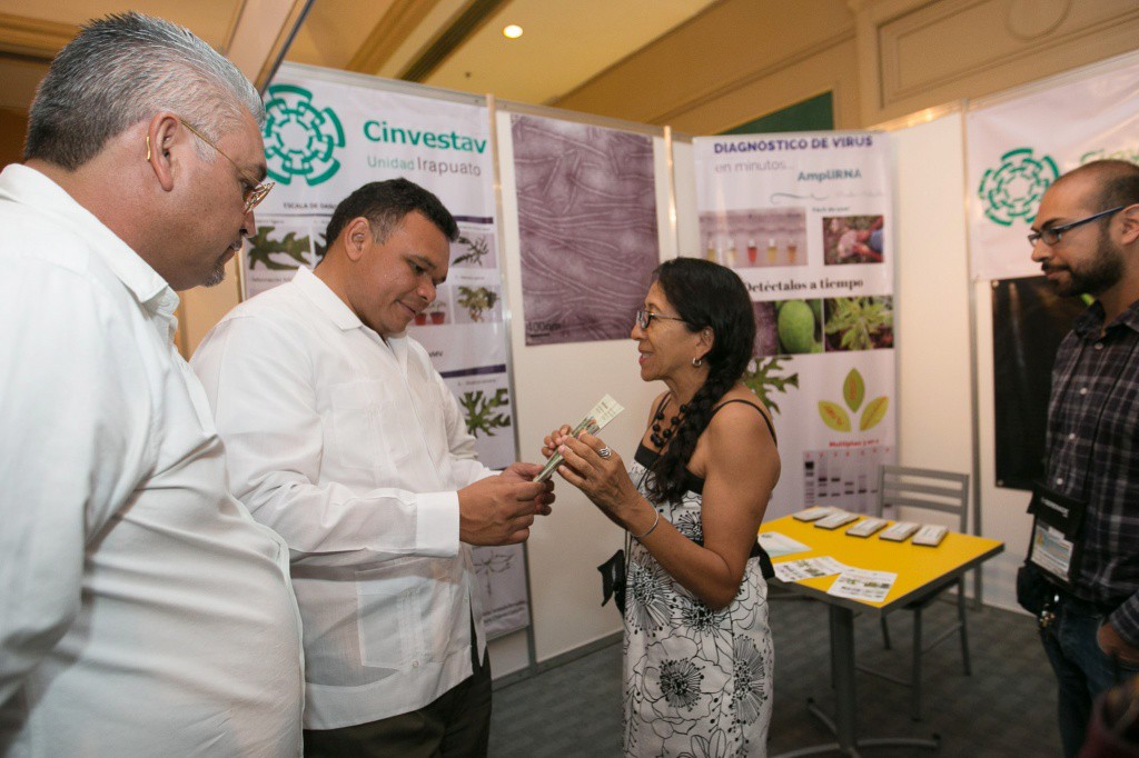 Inauguran encuentro de papayeros en Yucatán Inauguran encuentro de papayeros en Yucatán