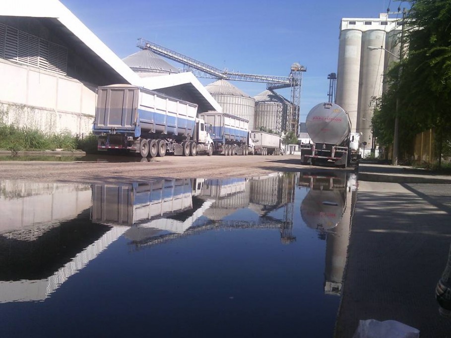Denuncian foco de infección en Ciudad Industrial Denuncian foco de infección en Ciudad Industrial