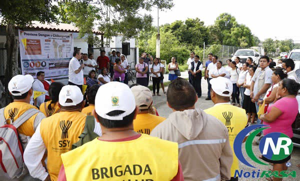 Mosco aedes aegipty transmitiría dos nuevos virus Mosco aedes aegipty transmitiría dos nuevos virus