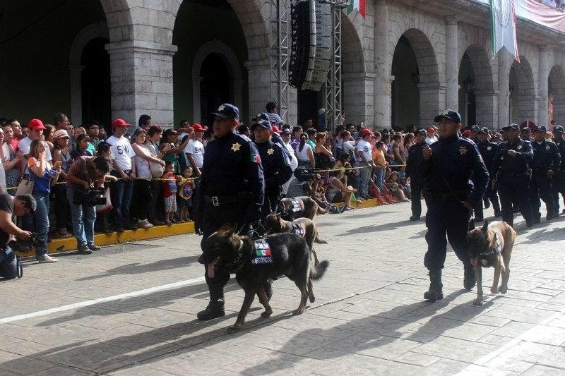 Policía municipal cuenta con cinco agentes caninos Policía municipal cuenta con cinco agentes caninos