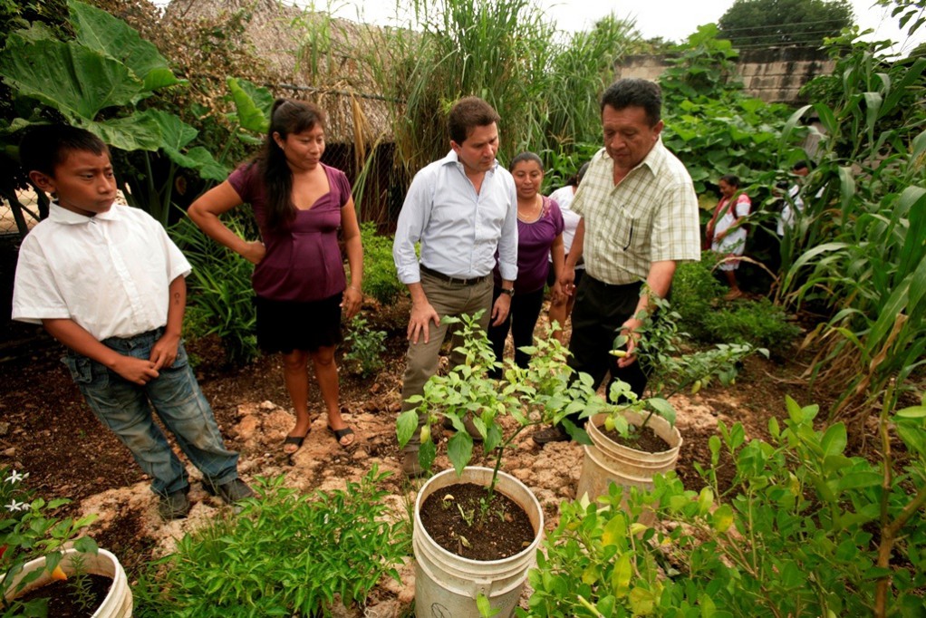 Entregan apoyos para huertos familiares Entregan apoyos para huertos familiares