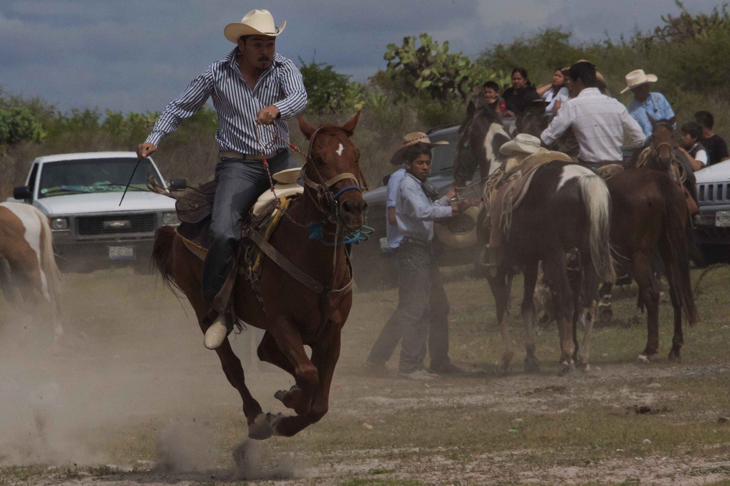 Jinetes de Tizimín cabalgan hasta Tula, Hidalgo Jinetes de Tizimín cabalgan hasta Tula, Hidalgo