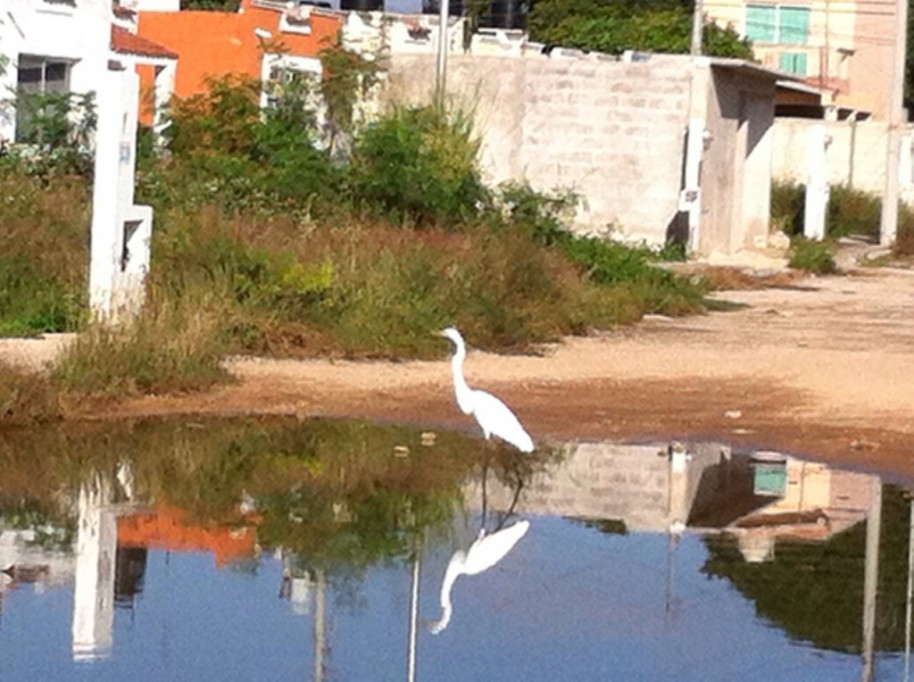 En Kanasín no hay baches, hay lagunas En Kanasín no hay baches, hay lagunas