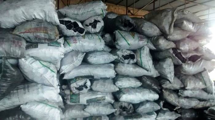 Profepa presenta denuncia por carbón vegetal en Kanasín Profepa presenta denuncia por carbón vegetal en Kanasín