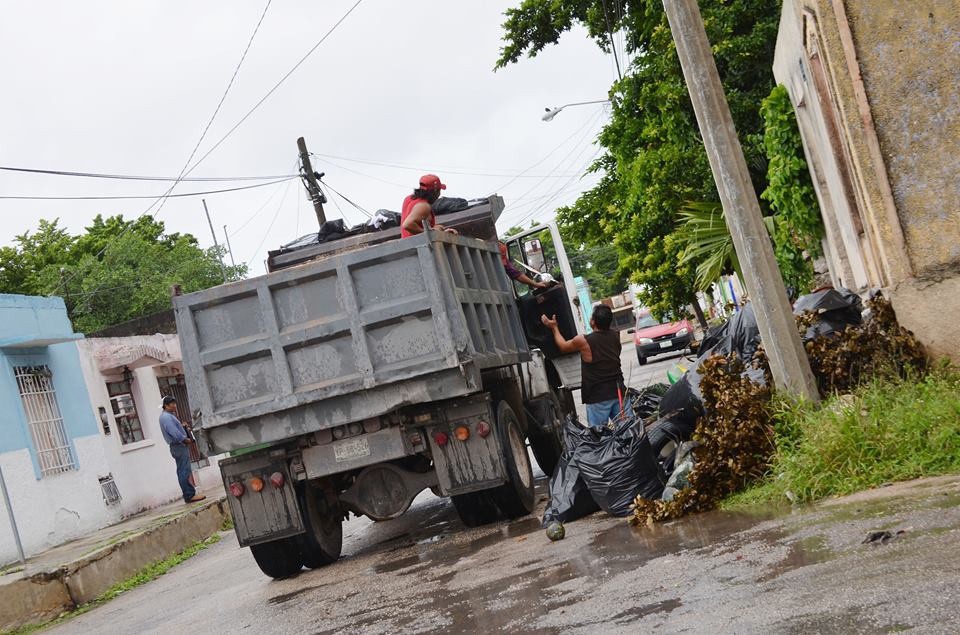 Realizan tercera campaña de descacharrización en Mérida Realizan tercera campaña de descacharrización en Mérida