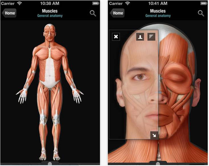 The Human Body, app que permite la inspección cercana de los órganos The Human Body, app que permite la inspección cercana de los órganos