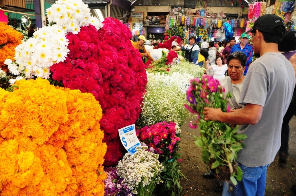 Vendedores de flores denuncian competencia desleal Vendedores de flores denuncian competencia desleal
