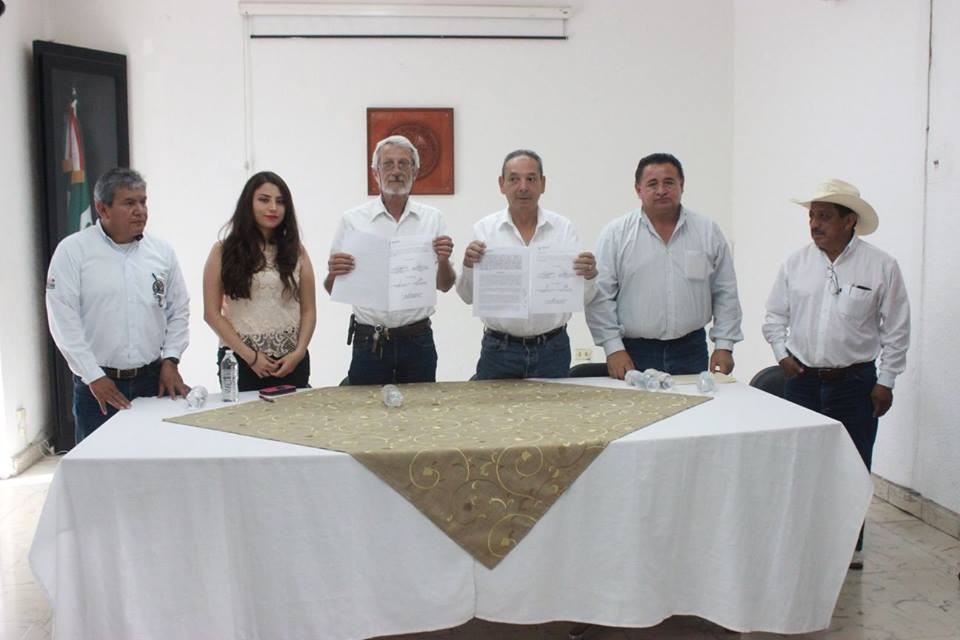 50 mil árboles más para Tizimín en 2016 50 mil árboles más para Tizimín en 2016
