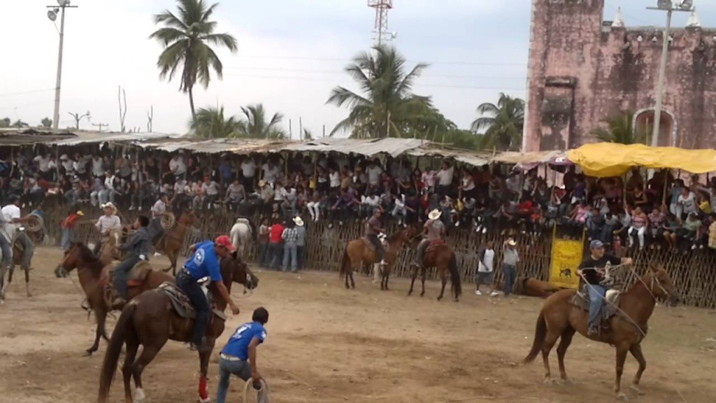 El hombre no debe hacer sufrir a los animales: Arzobispo El hombre no debe hacer sufrir a los animales: Arzobispo