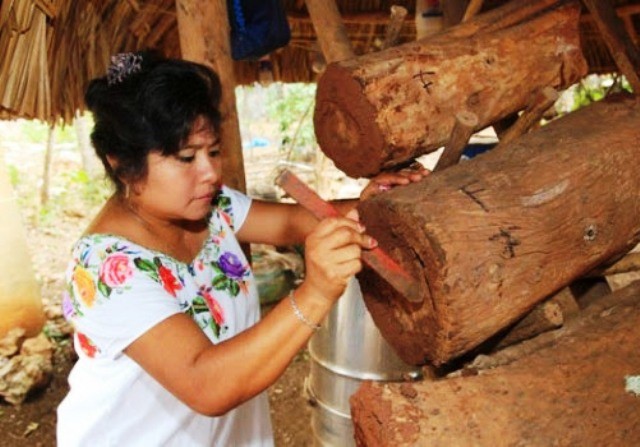 En peligro el legado de apicultores En peligro el legado de apicultores