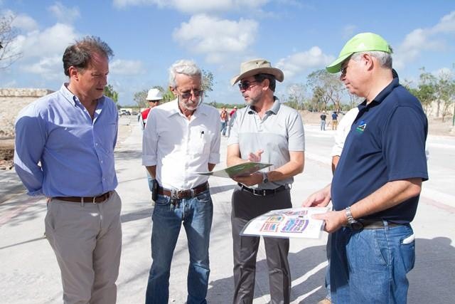 Realizan rescate de árboles en Mérida Realizan rescate de árboles en Mérida