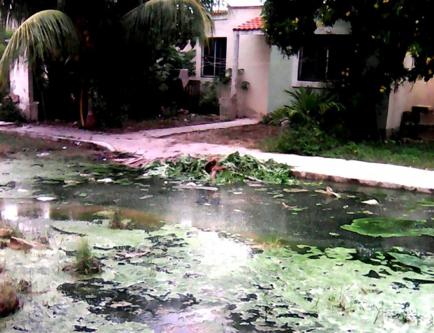 Denuncian otro "bache" en Kanasín Denuncian otro "bache" en Kanasín