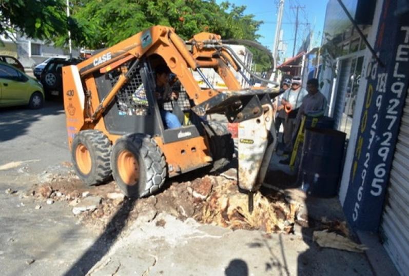 Despiden a empleado municipal por tala indebida de un árbol Despiden a empleado municipal por tala indebida de un árbol