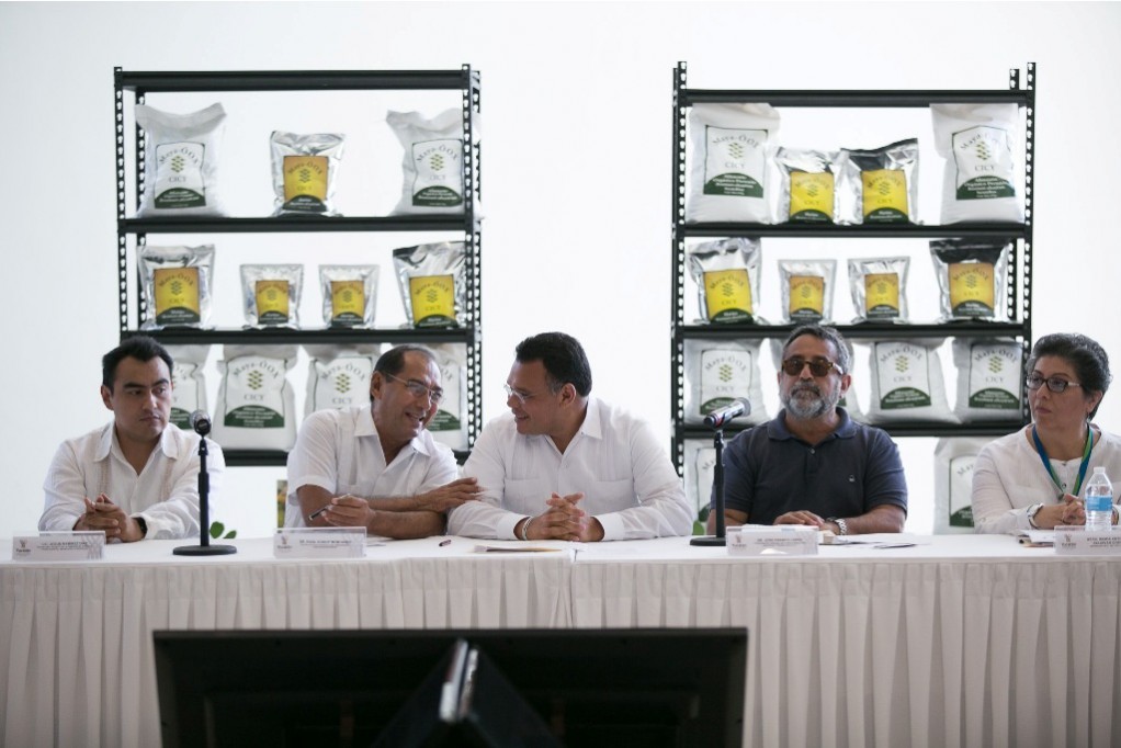 Aprueban planta de ramón para consumo humano Aprueban planta de ramón para consumo humano