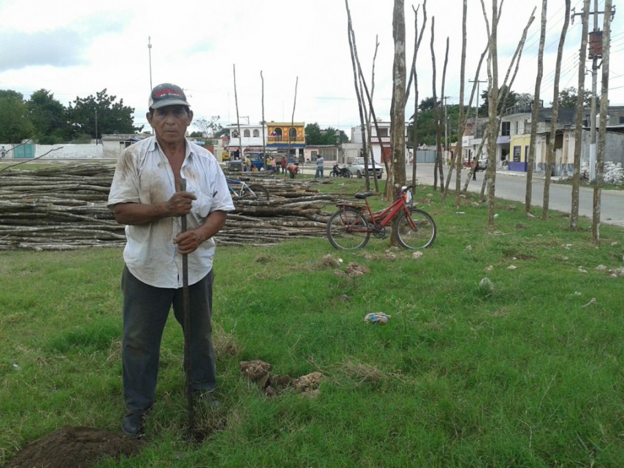 Con calidad se construye coso taurino de Tizimín Con calidad se construye coso taurino de Tizimín