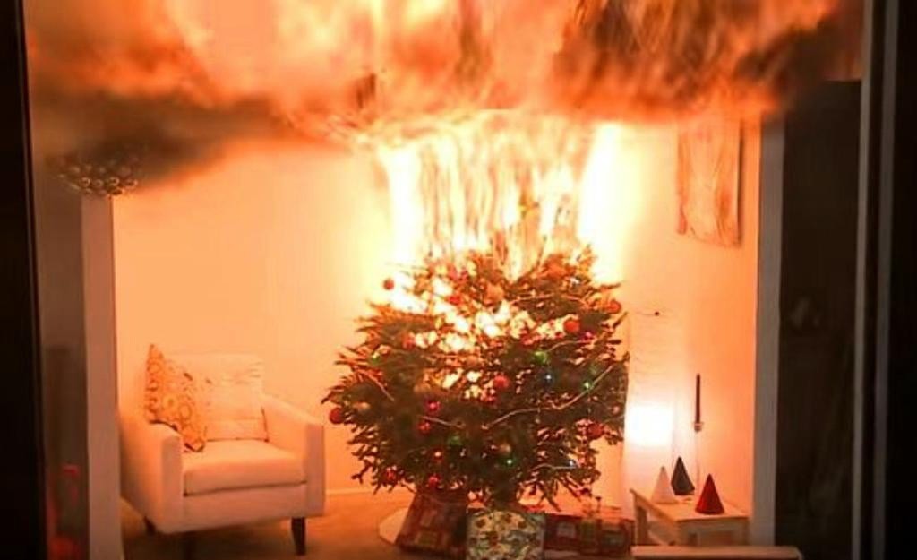 Procivy emite recomendaciones para esta Navidad Procivy emite recomendaciones para esta Navidad