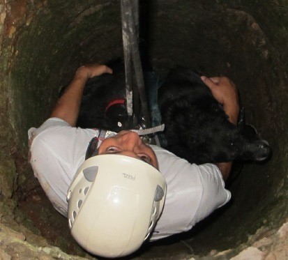 Bomberos de Tizimín rescatan a un perro Bomberos de Tizimín rescatan a un perro