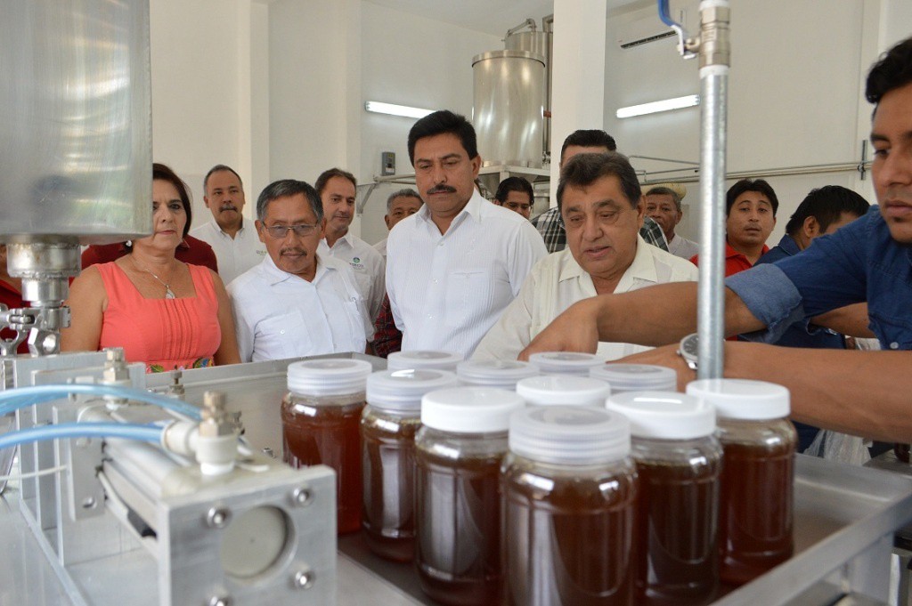 Yucatán, primer productor de miel en el país Yucatán, primer productor de miel en el país