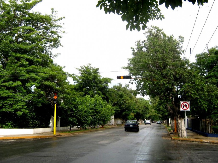 Realizarán inversión millonaria en la Avenida Colón Realizarán inversión millonaria en la Avenida Colón