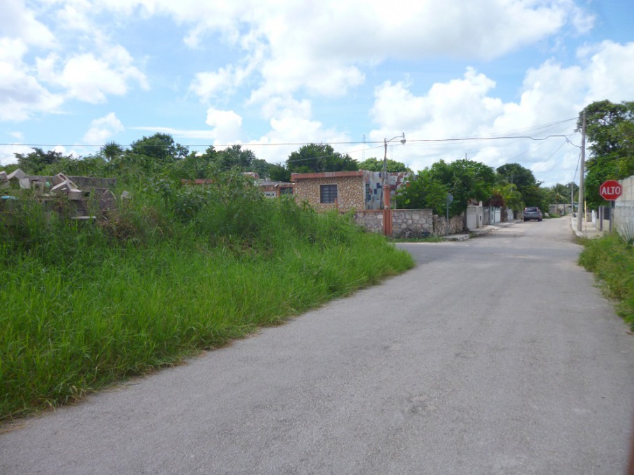 TIZIMIN: Terrenos lóbregos inhabitados causan molestias.\r\n TIZIMIN: Terrenos lóbregos inhabitados causan molestias.\r\n