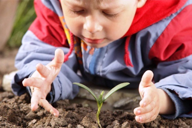 Anuncian diplomado para niños sobre el medio ambiente Anuncian diplomado para niños sobre el medio ambiente