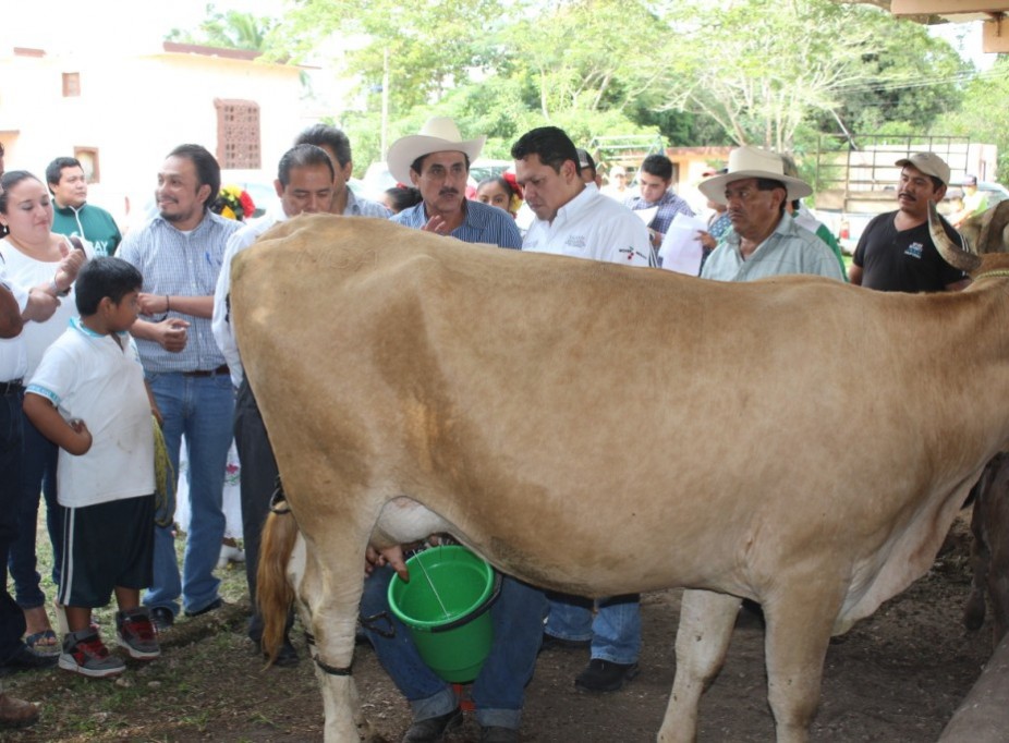 Respalda Sagarpa al sector lechero Respalda Sagarpa al sector lechero