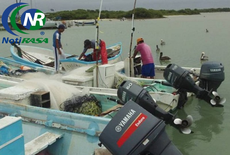 SAN FELIPE: Pescadores esperan una mejor captura del pepino de mar. SAN FELIPE: Pescadores esperan una mejor captura del pepino de mar.